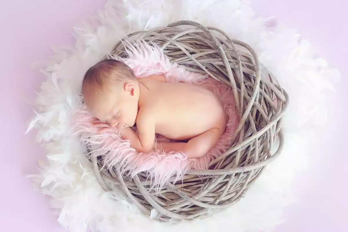 Bebé recién nacido en una cesta de mimbre sobre un fondo violeta