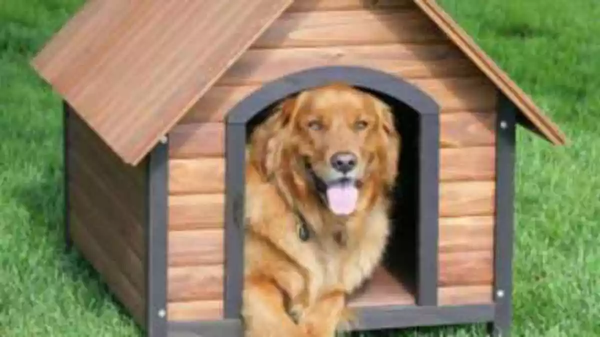 Casa de Madera para Perros