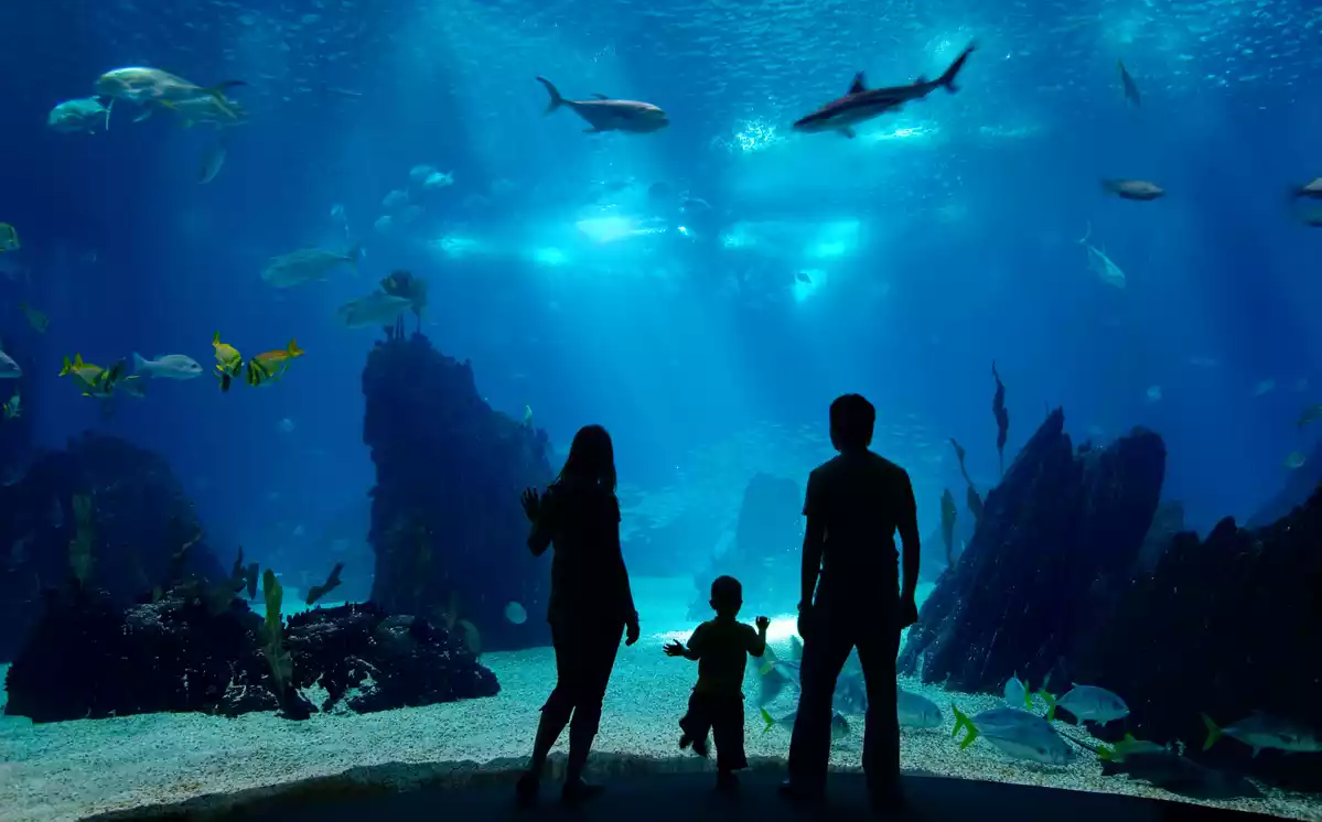 Familia mirando el acuario de peces y tiburones