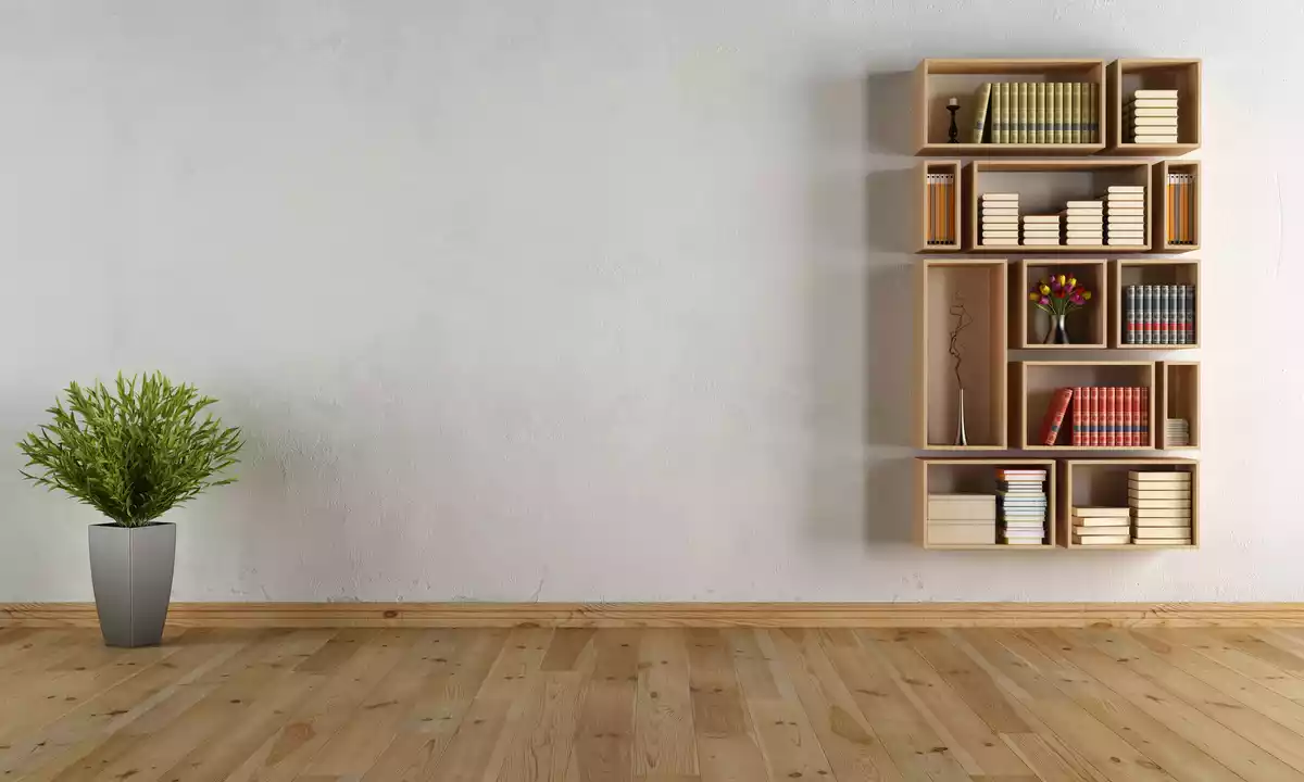 Una estantería de libros y una planta a la izquierda