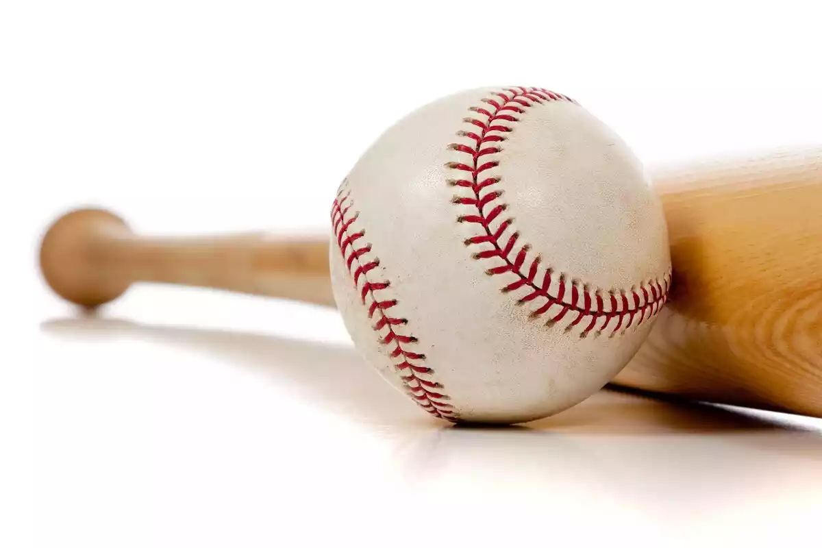 bate y pelota de beisbol