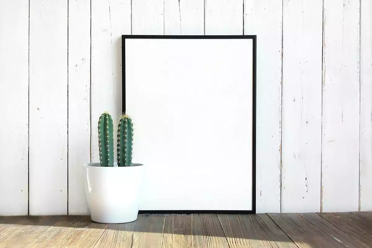 Marco de fotos apoyado en pared blanca al lado de cactus y sobre suelo de madera