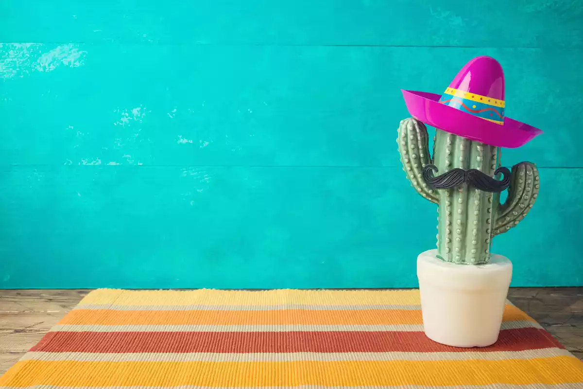 un cactus con sombrero y bigote sobre una alfombra y delante de una pared turquesa