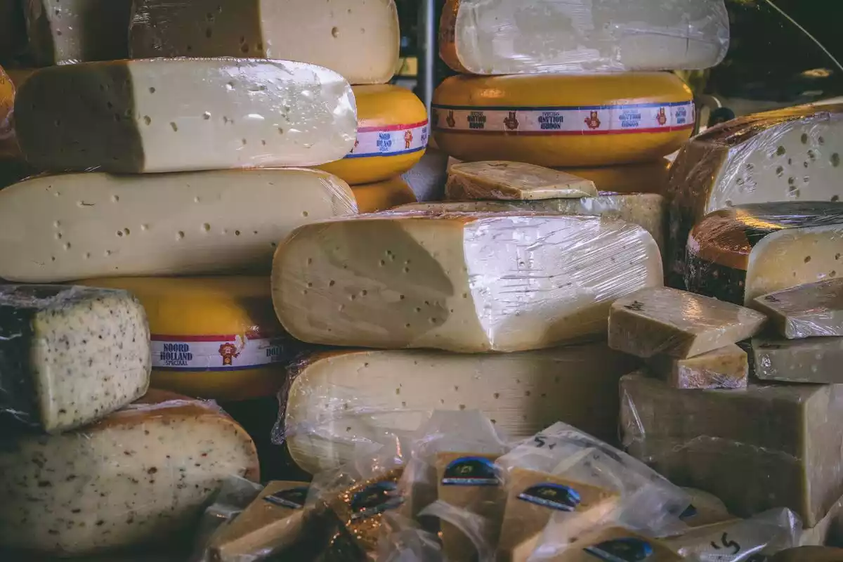 Varios tipos de queso apilados