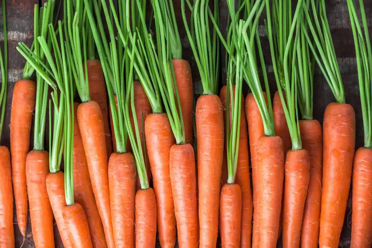 Beneficios de las zanahorias